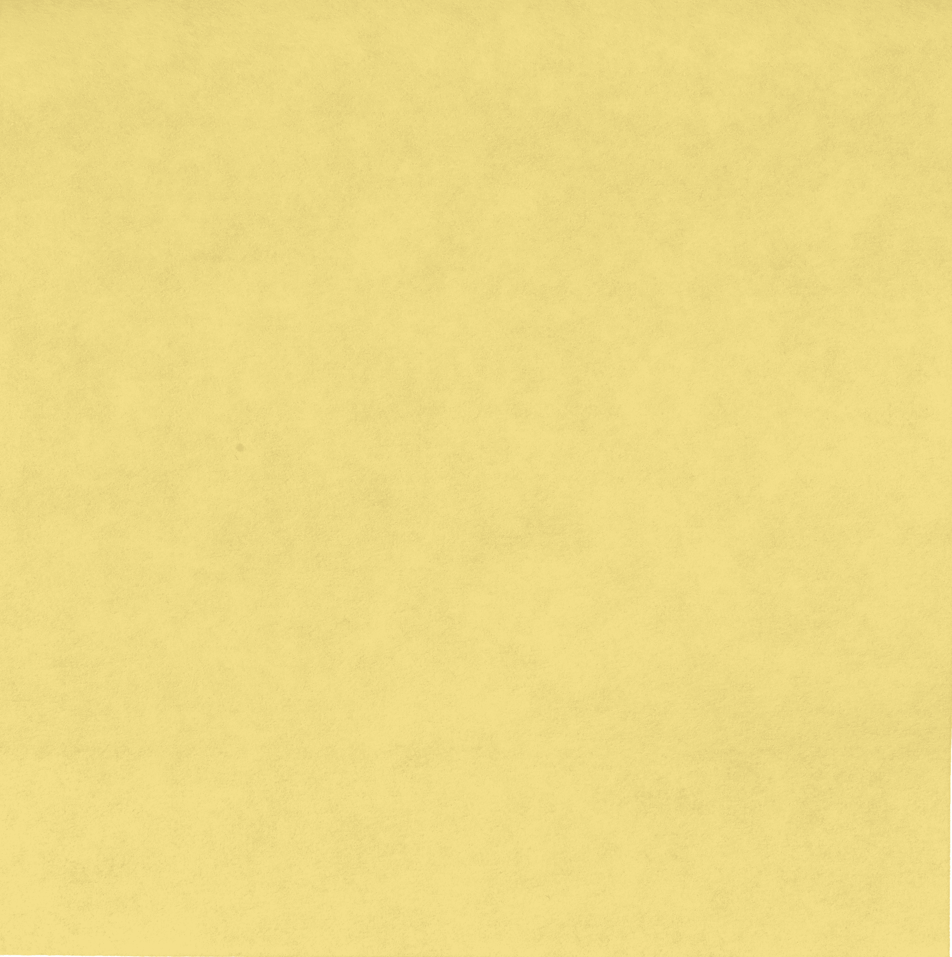 Brand Strategy Development